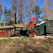 Skoventreprenør med mange års erfaring.