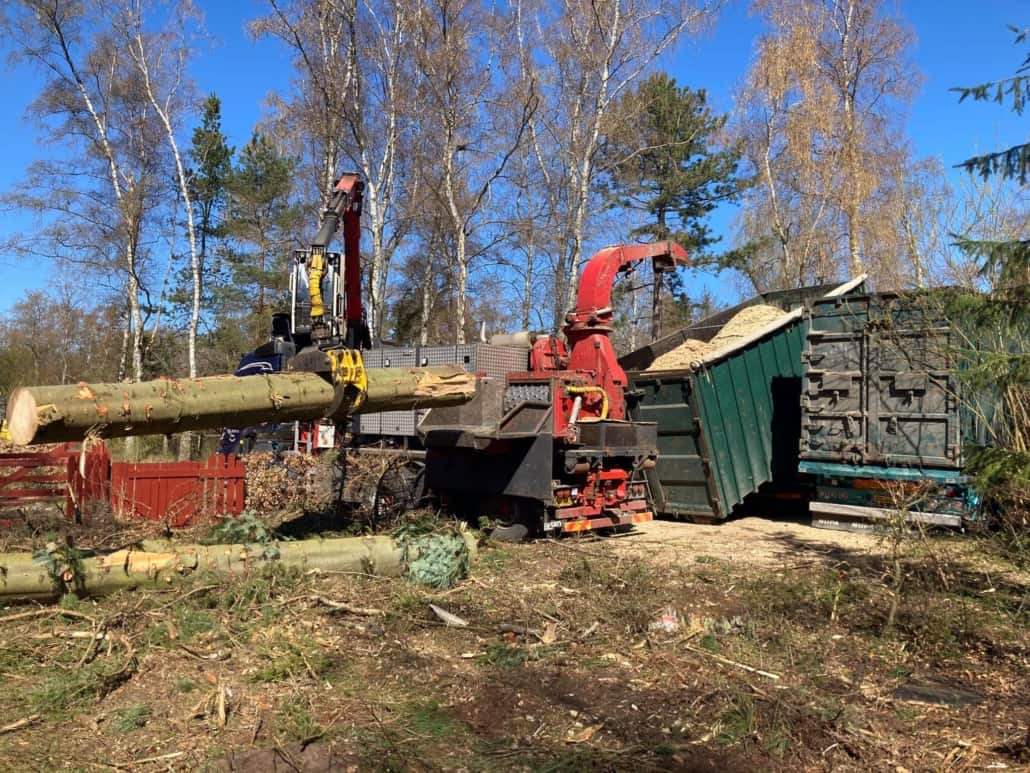 Skoventreprenør med mange års erfaring.